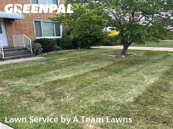 Lawn Care Service nearby Euclid, OH, 