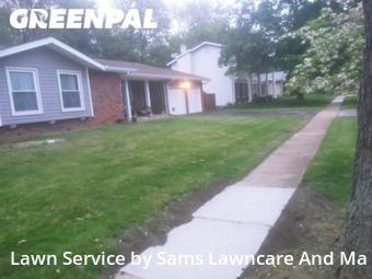 Lawn Cutting nearby St. Louis, IL, 