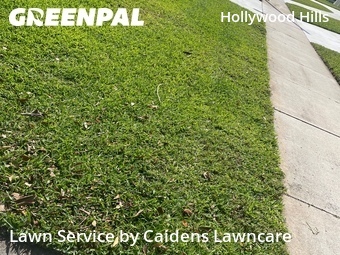 Lawn Mowingin Hollywood,33021,Grass Cutting by Caidens Lawncare , work completed in Jun , 2026