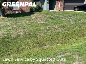 Lawn Care Service nearby Carencro, LA, 