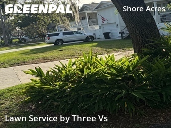 Lawn Mow nearby St. Petersburg, FL, 