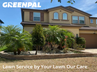 Grass Cut nearby Zephyrhills, FL, 