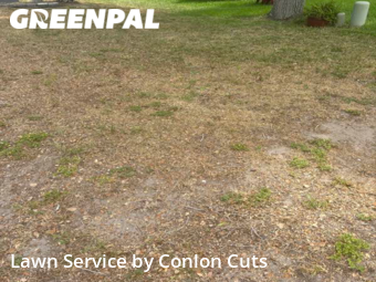 Lawn Mow nearby Bradenton, FL, 