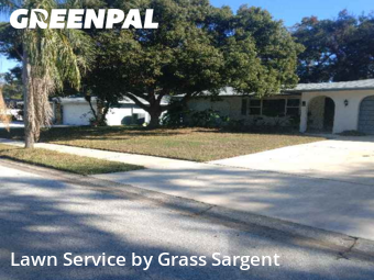 Lawn Mowing Servicein Clearwater,33764,Lawn Maintenance by Grass Sargent, work completed in Mar , 2026