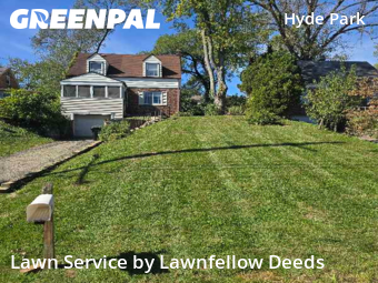 Grass Cut nearby Cincinnati, OH, 