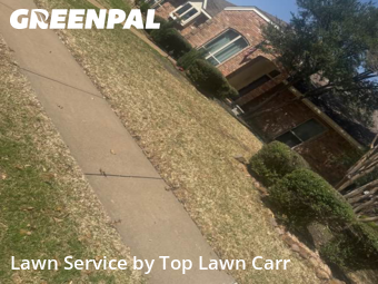 Yard Mowing nearby Richardson, TX, 
