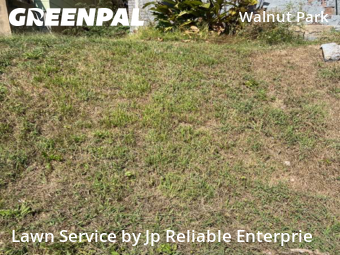 Lawn Mow nearby St. Louis, IL, 