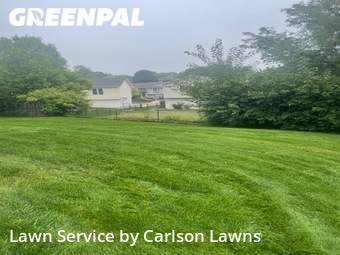 Grass Cut nearby Omaha, NE, 