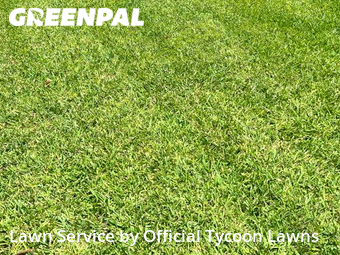 Lawn Cutting nearby Palm Coast, FL, 