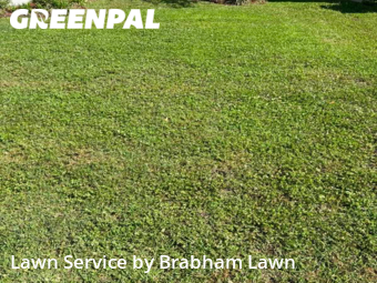 Lawn Cutting nearby Baton Rouge, LA, 