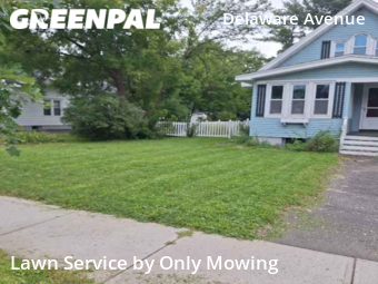 Yard Cutting nearby Albany, NY, 