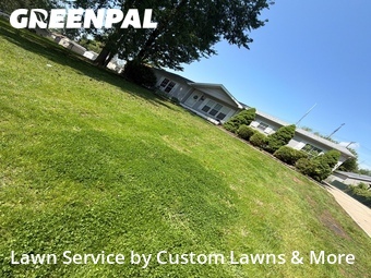 Lawn mowed in Wayne, 48184