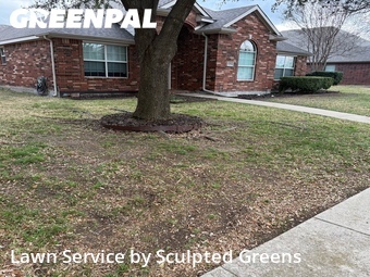 Grass Cut nearby Allen, TX, 