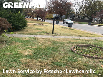 Lawn Cut nearby Evansville, IN, 