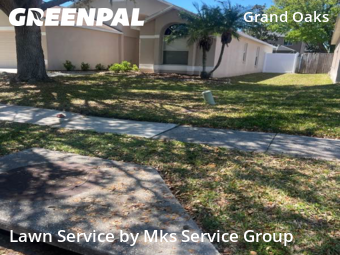 Lawn Cutting nearby Land O' Lakes, FL, 