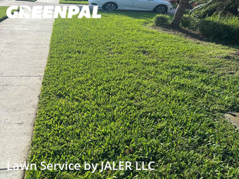 Yard Cutting nearby Bradenton, FL, 