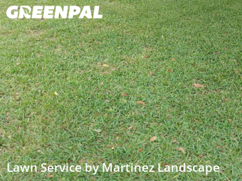 Yard Cutting nearby Eustis, FL, 