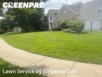 Lawn Care nearby Mason, OH, 