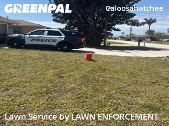 Grass Cutting nearby Cape Coral, FL, 