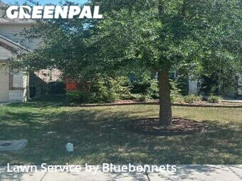 Lawn Mow nearby Pflugerville, TX, 