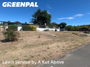 Lawn Cut nearby Sea Tac, WA, 
