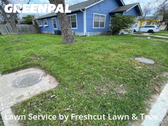 Yard Cutting nearby Seguin, TX, 