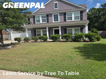 Lawn Care nearby Charleston, SC, 