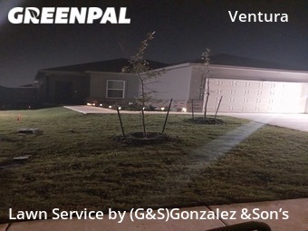 Lawn Maintenance nearby San Antonio, TX, 