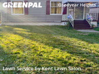 Yard Cutting nearby Akron, OH, 