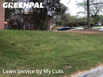 Lawn Mowing Service nearby Lithonia, GA, 