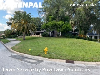 Grass Cut nearby Ormond Beach, FL, 