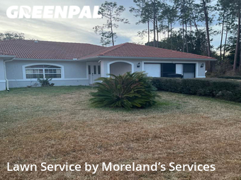 Lawn Service nearby Palm Coast, FL, 