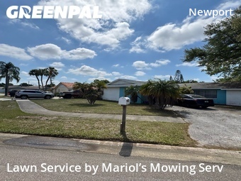 Grass Cut nearby Clearwater, FL, 