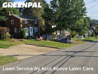 Yard Management in Bethel Park, 15102, Grass Care by Acut Above Lawn Care, work completed in Nov , 2025