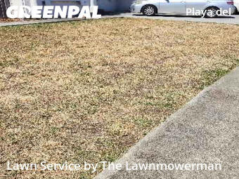 Work completed by grass-trimming-service-in-San Jose-CA