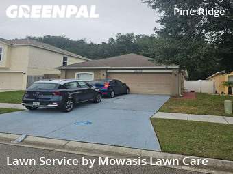 Grass Cut nearby Wesley Chapel, FL, 