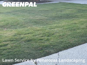 Grass Cut nearby Lawrenceville, GA, 