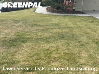 Lawn Cutting nearby Lawrenceville, GA, 