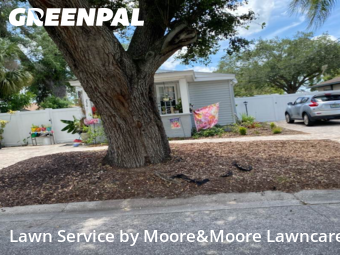 Lawn Mowing nearby St. Petersburg, FL, 