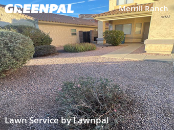 Yard Cutting nearby Apache Junction, AZ, 