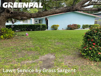 Grass Cutting nearby Clearwater, FL, 