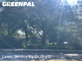 Lawn Cut nearby Tampa, FL, 