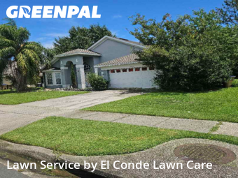Yard Maintenance in Buena Ventura Lakes, 34743, Lawn Mowing by El Conde Lawn Care, work completed in Nov , 2025