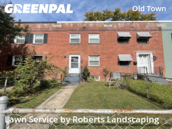 Grass Cut nearby Alexandria, VA, 