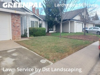Lawn Cut in Rancho Cordova, 95670, Lawn Care Service by Dst Landscaping, work completed in 26 Dec, 2025 