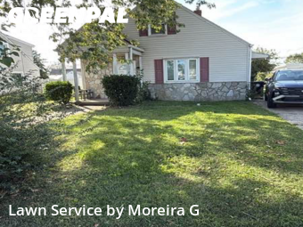 Grass Services in Dundalk, 21222, Weed Trimming by Moreira G, work completed in Nov , 2025