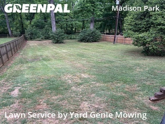Grass Cut nearby Charlotte, NC, 
