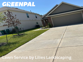 Lawn Cutin Conroe,77301,Yard Mowing by Lilies Landscaping, work completed in Nov , 2025