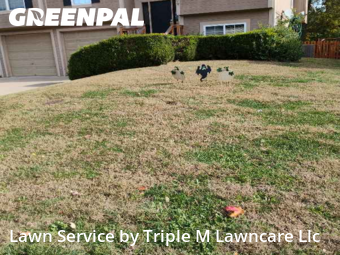 Yard Maintenance in Independence, 64058, Lawn Upkeep by Triple M Lawncare Llc, work completed in Nov , 2025