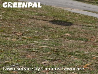 Lawn Cut nearby El Portal, FL, 